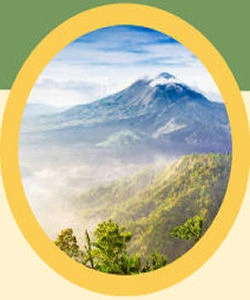 Malang City