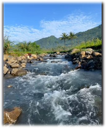 Childhood in the Netherlands